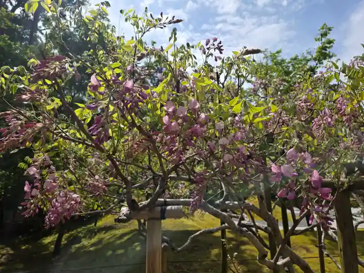 歌泉堂(春日大社神苑萬葉植物園内鎮座)(奈良県)