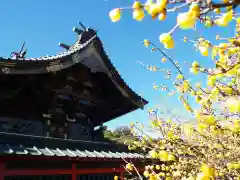 雷電神社(群馬県)