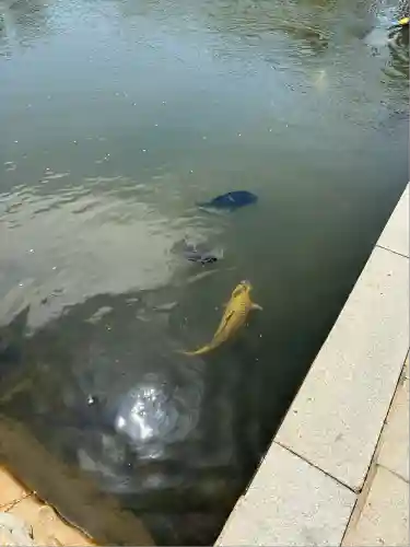 寄福山稲荷神社(広島県)