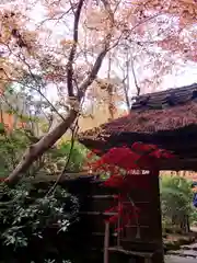 祇王寺(京都府)