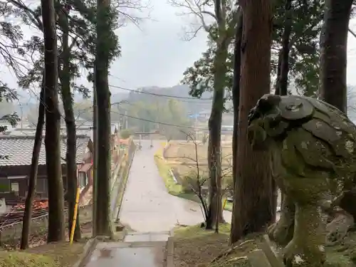 白駒神社の狛犬