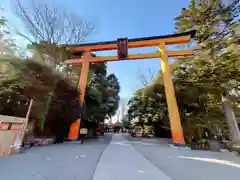 川越氷川神社(埼玉県)