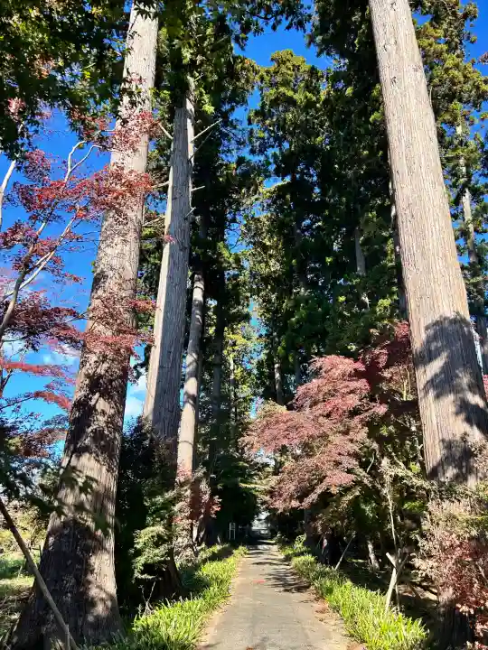 八幡宮(茨城県)