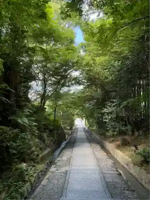 高台寺（高台寿聖禅寺・高臺寺）(京都府)