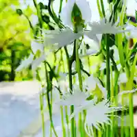 土津神社|こどもと出世の神さまの自然