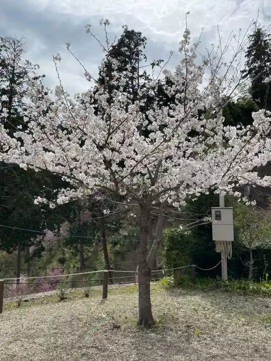 三鈷寺(京都府)
