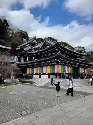 長谷寺の本殿・本堂
