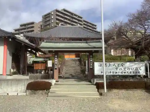 桜誓願寺の山門