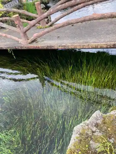 淺間神社（忍野八海）の庭園