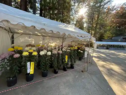 穂高神社本宮(長野県)