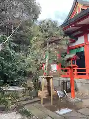 芝東照宮の自然