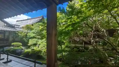 禅林寺(永観堂)(京都府)
