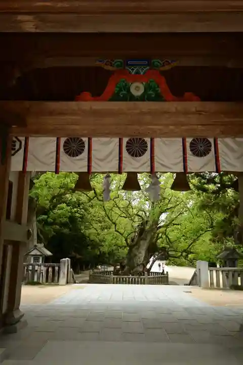 大山祇神社(愛媛県)
