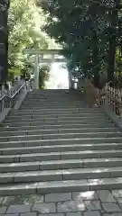 渋谷氷川神社の鳥居