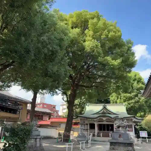 荻窪白山神社(東京都)