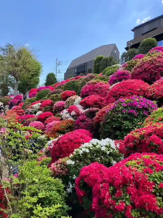 根津神社(東京都)