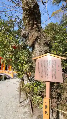 賀茂別雷神社（上賀茂神社）の歴史