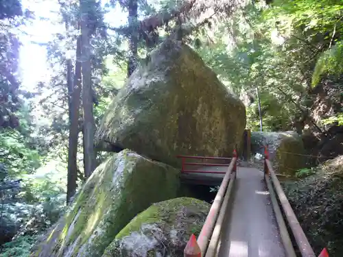 名草厳島神社の自然