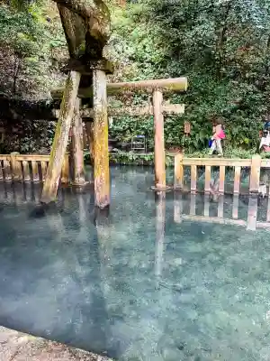 鹿島神宮(茨城県)