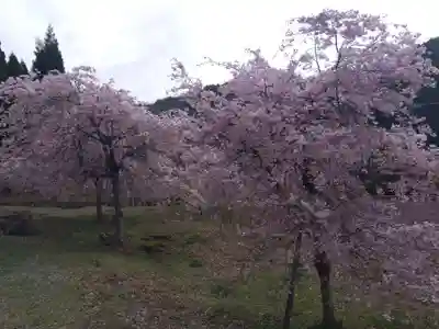 熊野神社(京都府)