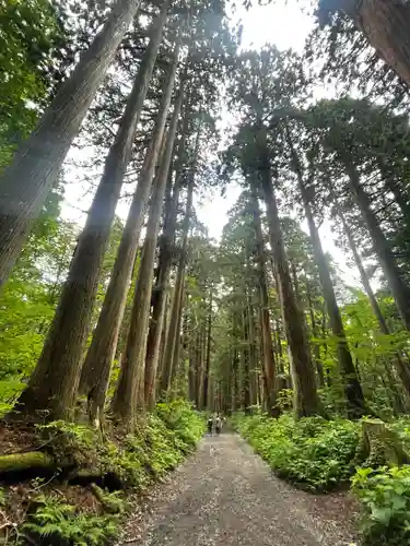 戸隠神社奥社(長野県)