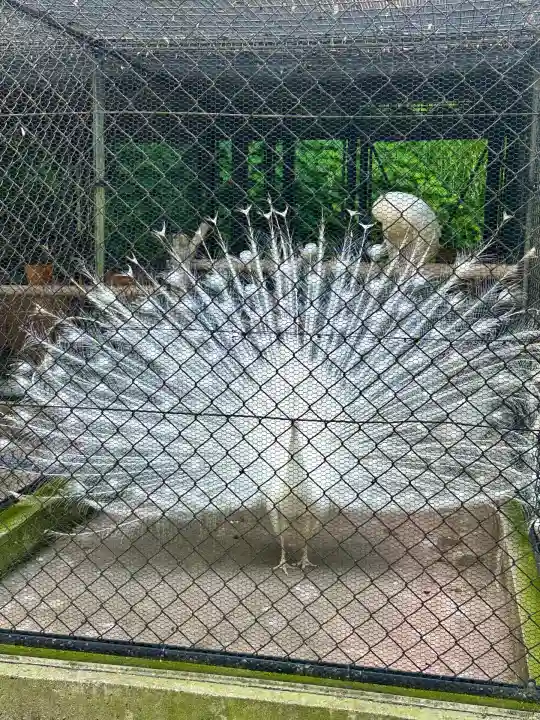 楽法寺(雨引観音)(茨城県)