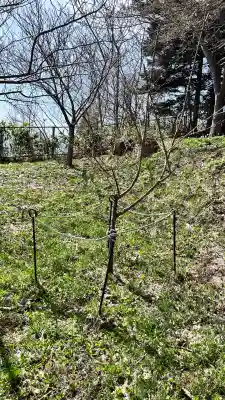 富川八幡宮(北海道)