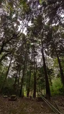 子ノ神社(東京都)