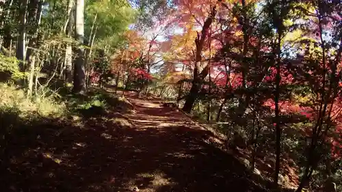 玉龍寺(岐阜県)