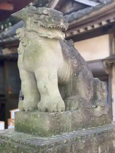 素鵞神社の狛犬