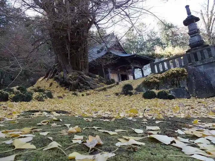 正法寺(埼玉県)