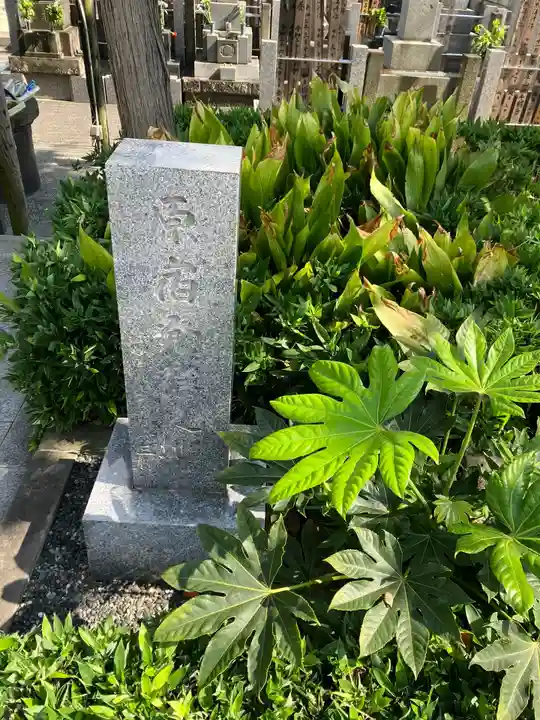 妙円寺のその他建物