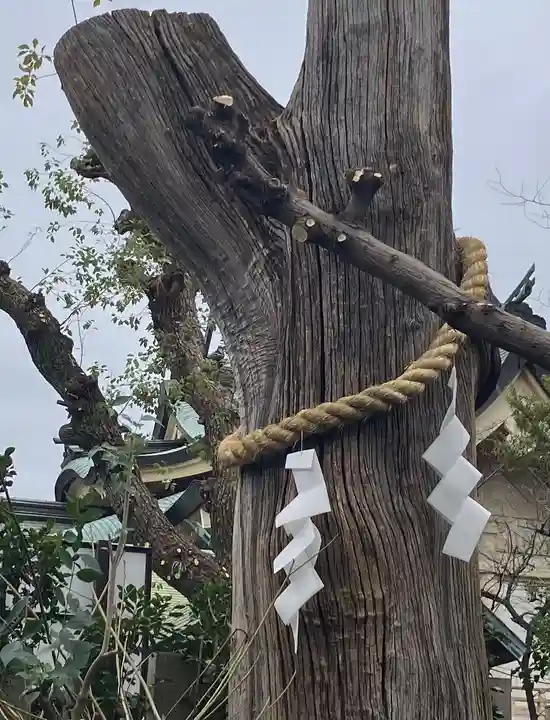 難波大社 生國魂神社(大阪府)