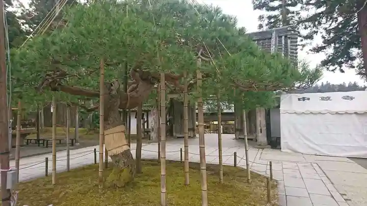 中尊寺の庭園
