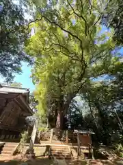 神崎神社(千葉県)