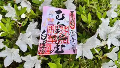 白蓮坊の御朱印