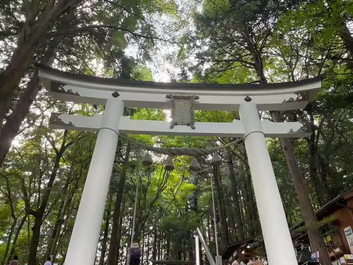 宝登山神社奥宮(埼玉県)