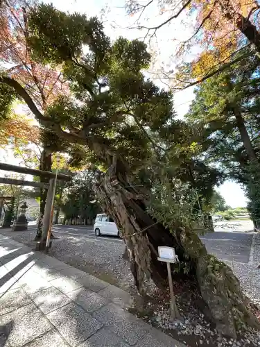 一言主神社(茨城県)