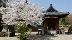 新薬師寺の本殿