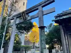 江島杉山神社の鳥居