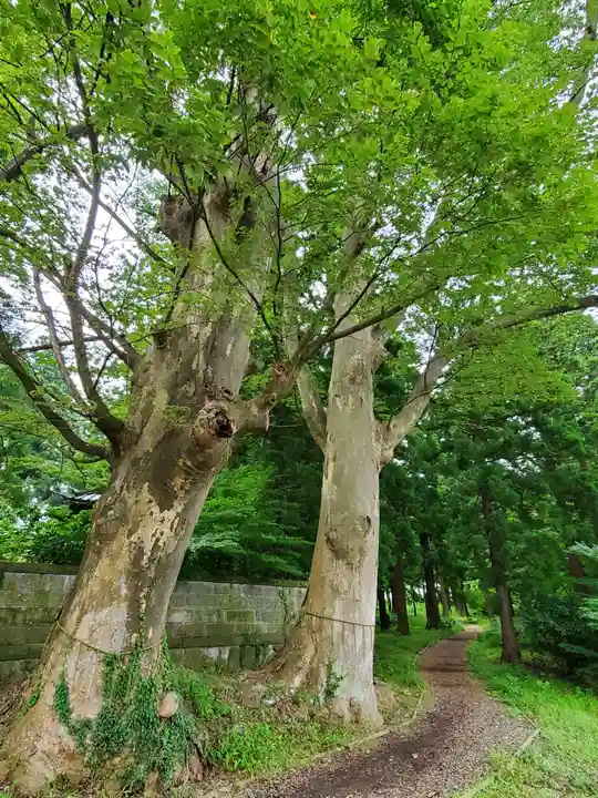 神炊館神社 ⁂奥州須賀川総鎮守⁂(福島県)