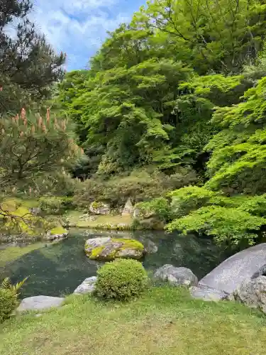 青蓮院門跡の{uncategorized: "未分類", other: "その他", undefined: "問題あり", building: "その他建物", grave: "お墓", sacred_gate: "鳥居", guardian: "狛犬", statue: "像", buddha: "仏像", history: "歴史", nature: "自然", garden: "庭園", animal: "動物", pagoda: "塔", temizu: "手水舎", mountain_gate: "山門・神門", sanctuary: "本殿・本堂", subordinate: "末社・摂社", art: "芸術", scenery: "景色", jizo: "地蔵", ema: "絵馬", goshuin: "御朱印", omikuji: "おみくじ", items: "授与品その他", amulet: "お守り", goshuincho: "御朱印帳", eats: "食事", festival: "お祭り", votive_dance: "神楽", shichigosan: "七五三参", wedding: "結婚式", experience: "体験その他", initially: "初詣", around: "周辺", anti_infection: "感染症対策"}