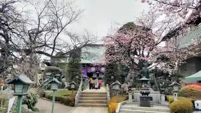 密藏院(埼玉県)