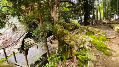 岩上神社の建物その他