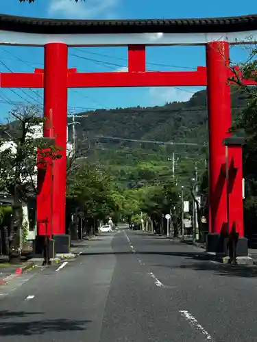 鹿児島神宮(鹿児島県)