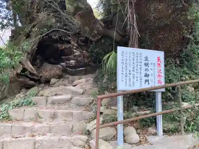 大山祇神社のその他建物