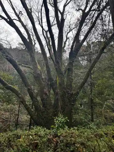 天安河原宮(宮崎県)