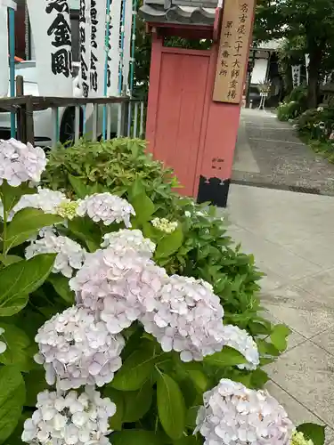 安養寺（弥勒院）(愛知県)