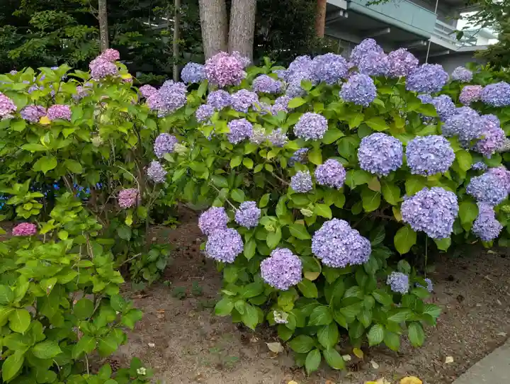 開成山大神宮(福島県)