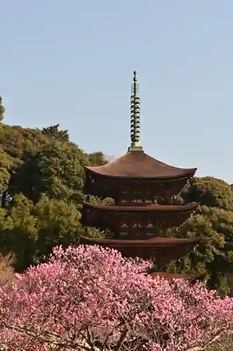 瑠璃光寺(山口県)
